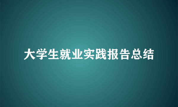 大学生就业实践报告总结