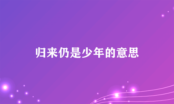 归来仍是少年的意思