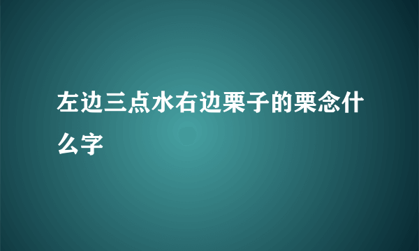 左边三点水右边栗子的栗念什么字