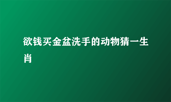 欲钱买金盆洗手的动物猜一生肖