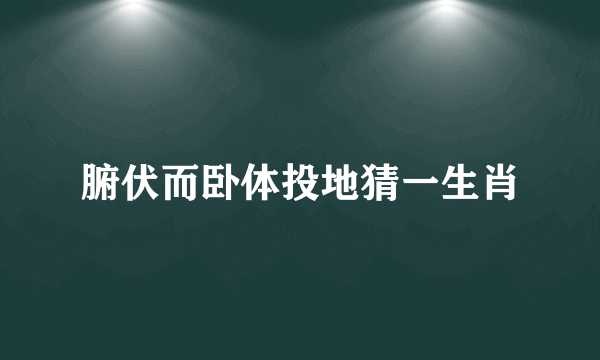 腑伏而卧体投地猜一生肖