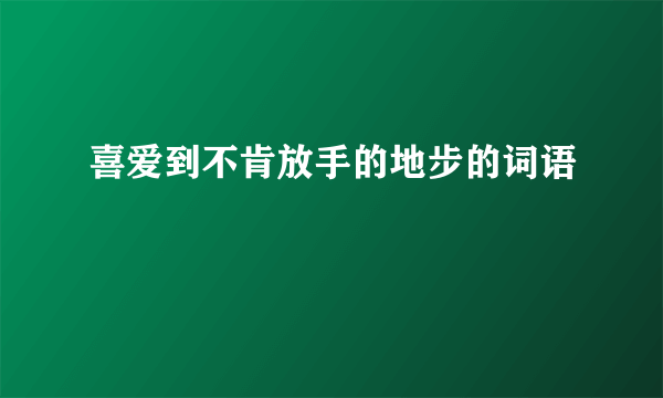 喜爱到不肯放手的地步的词语