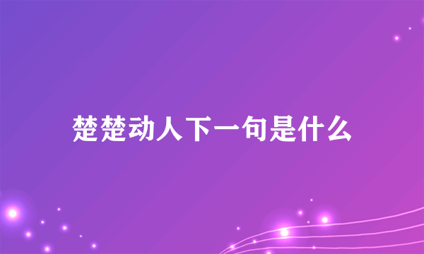 楚楚动人下一句是什么