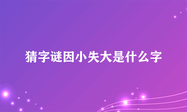 猜字谜因小失大是什么字
