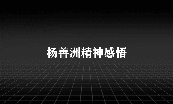 杨善洲精神感悟