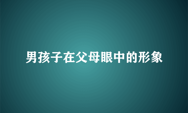 男孩子在父母眼中的形象