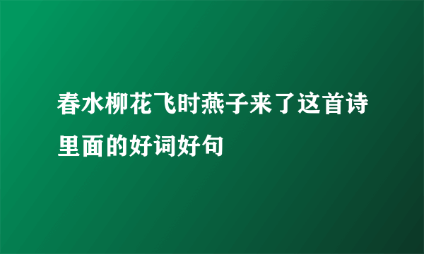 春水柳花飞时燕子来了这首诗里面的好词好句
