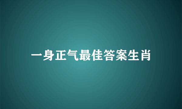 一身正气最佳答案生肖
