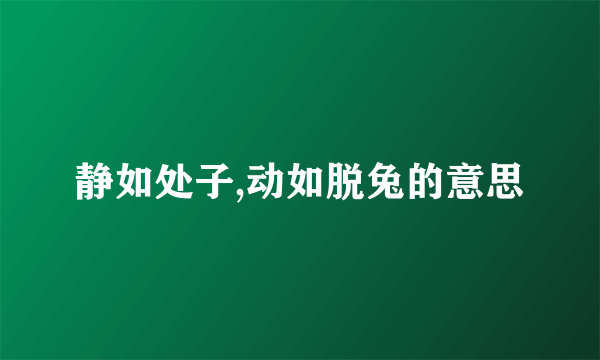 静如处子,动如脱兔的意思
