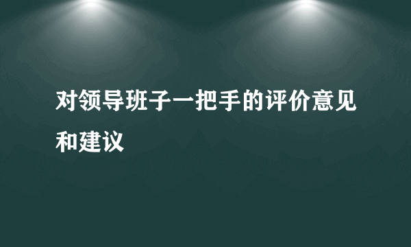 对领导班子一把手的评价意见和建议