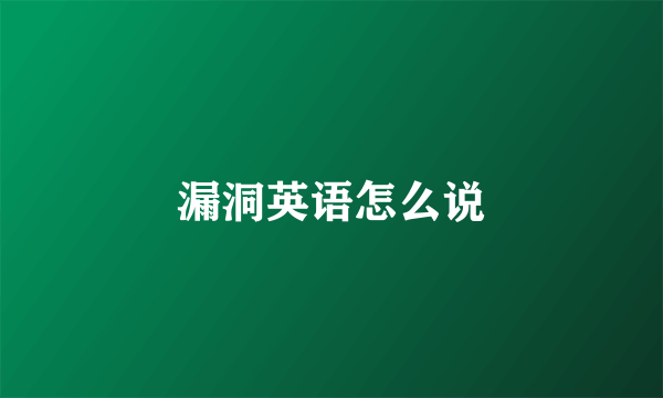 漏洞英语怎么说