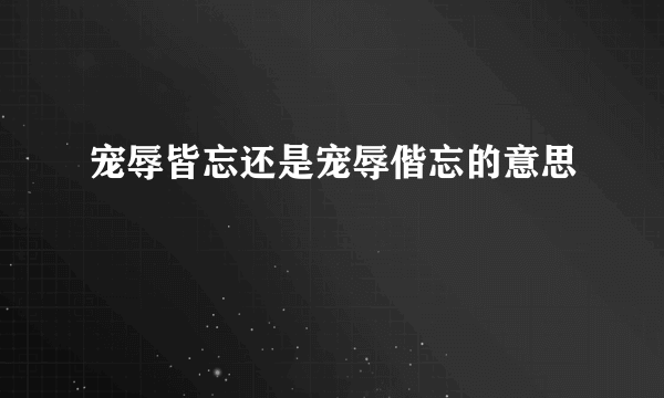 宠辱皆忘还是宠辱偕忘的意思