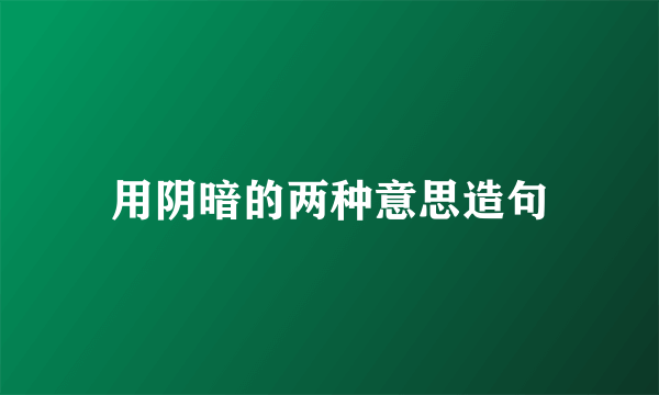 用阴暗的两种意思造句