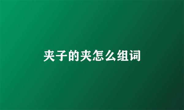 夹子的夹怎么组词