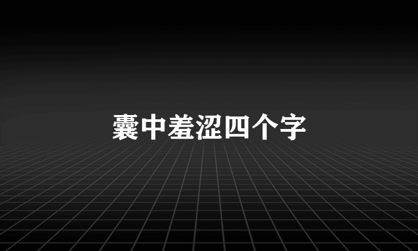 囊中羞涩四个字