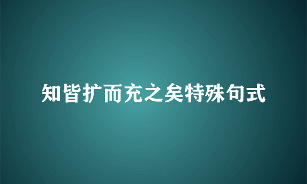 知皆扩而充之矣特殊句式
