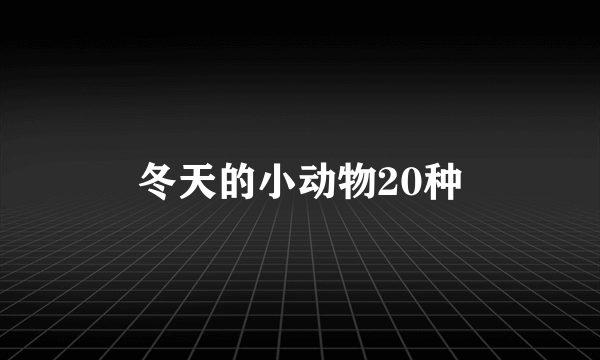 冬天的小动物20种