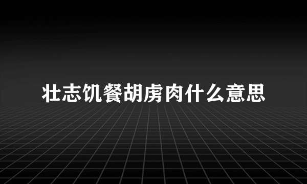 壮志饥餐胡虏肉什么意思