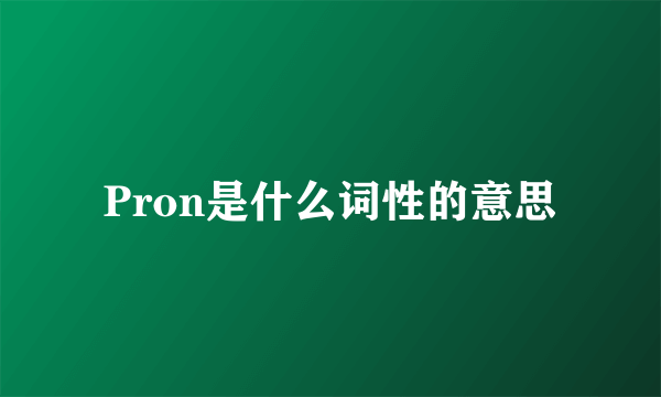 Pron是什么词性的意思