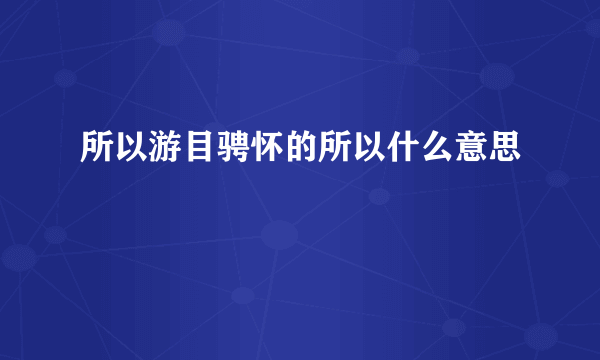 所以游目骋怀的所以什么意思