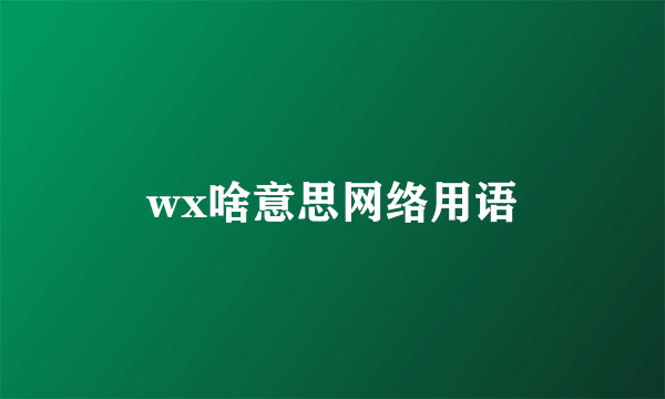 wx啥意思网络用语