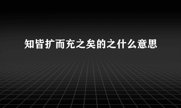 知皆扩而充之矣的之什么意思