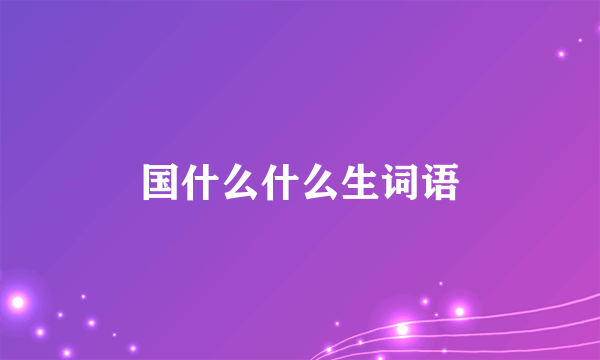 国什么什么生词语