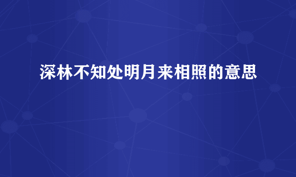 深林不知处明月来相照的意思