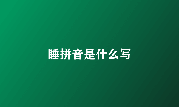 睡拼音是什么写