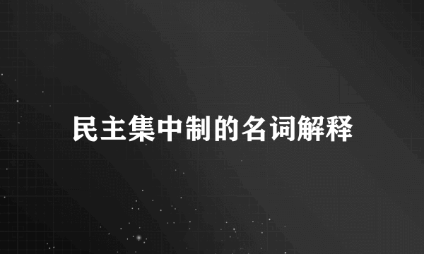 民主集中制的名词解释