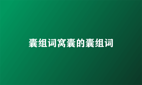 囊组词窝囊的囊组词