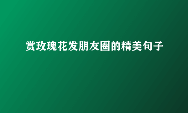 赏玫瑰花发朋友圈的精美句子