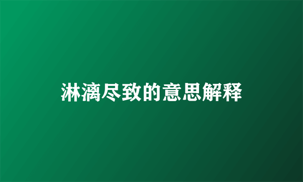 淋漓尽致的意思解释