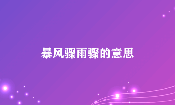 暴风骤雨骤的意思