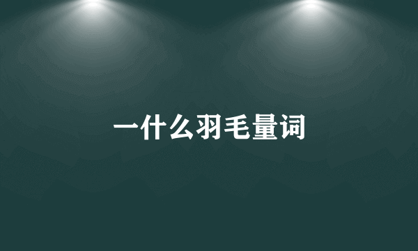 一什么羽毛量词