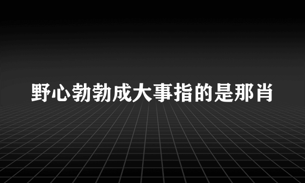 野心勃勃成大事指的是那肖