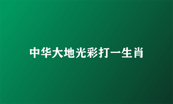 中华大地光彩打一生肖