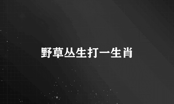 野草丛生打一生肖