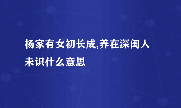 杨家有女初长成,养在深闺人未识什么意思
