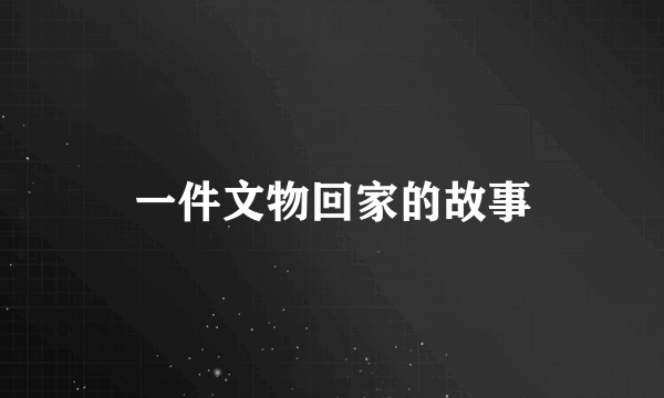 一件文物回家的故事