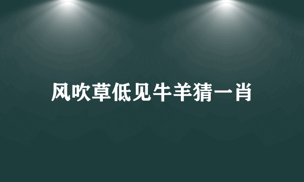 风吹草低见牛羊猜一肖