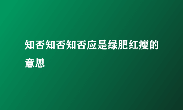 知否知否知否应是绿肥红瘦的意思