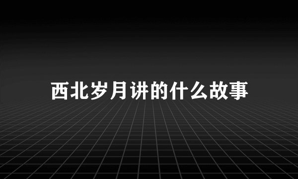 西北岁月讲的什么故事