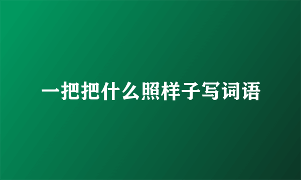 一把把什么照样子写词语