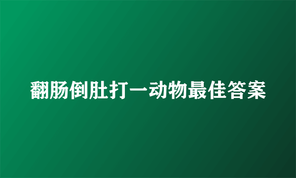翻肠倒肚打一动物最佳答案