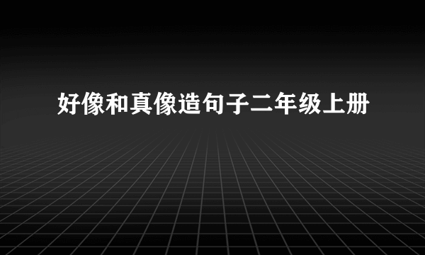 好像和真像造句子二年级上册