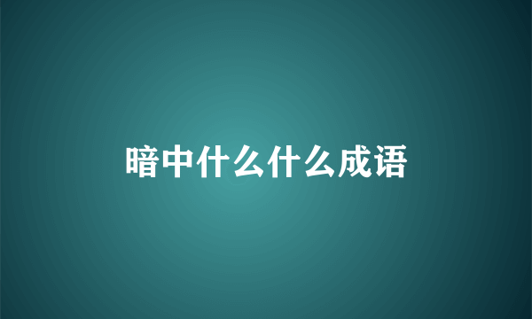 暗中什么什么成语