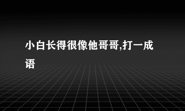 小白长得很像他哥哥,打一成语