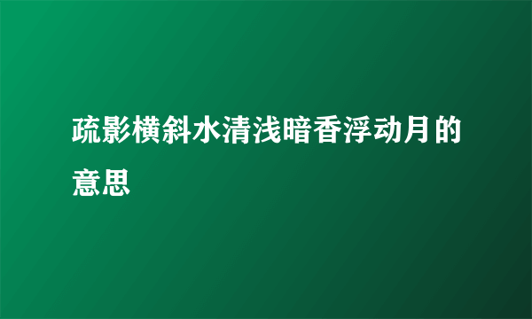 疏影横斜水清浅暗香浮动月的意思