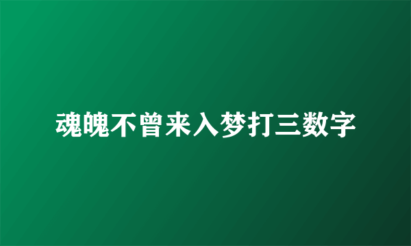 魂魄不曾来入梦打三数字